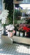 「山路花店」　（東京都港区）の花屋店舗写真4